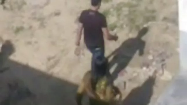 ლედი ბებია პუტკუნა აქციები